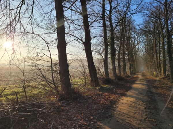 Hertberg Oost dauw