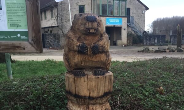 Totem Bever